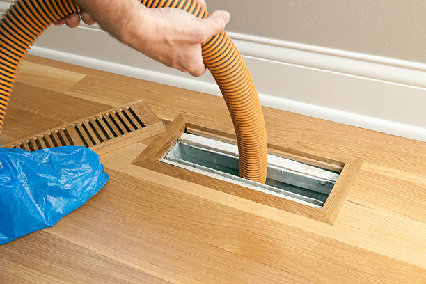 Best Air Duct Cleaning Near Me  in Black Forest, CO